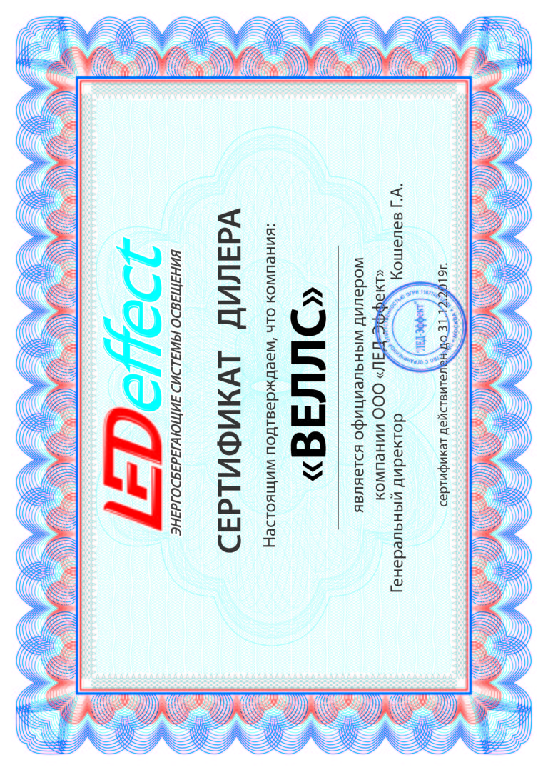 Сертификат ВЕЛЛС 2019 LED EF (гор)